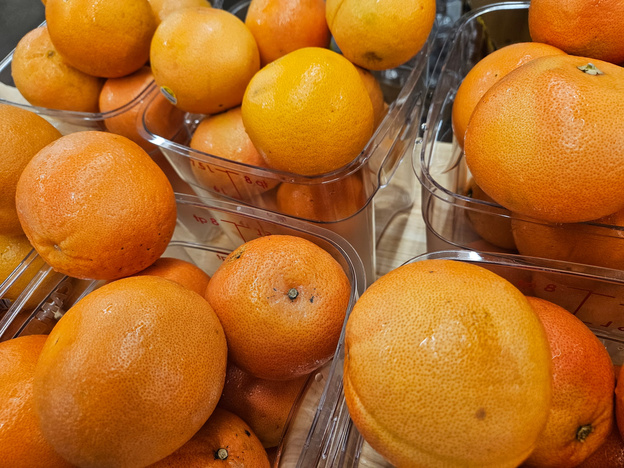 Organic Oranges for Arancello - Goldencello