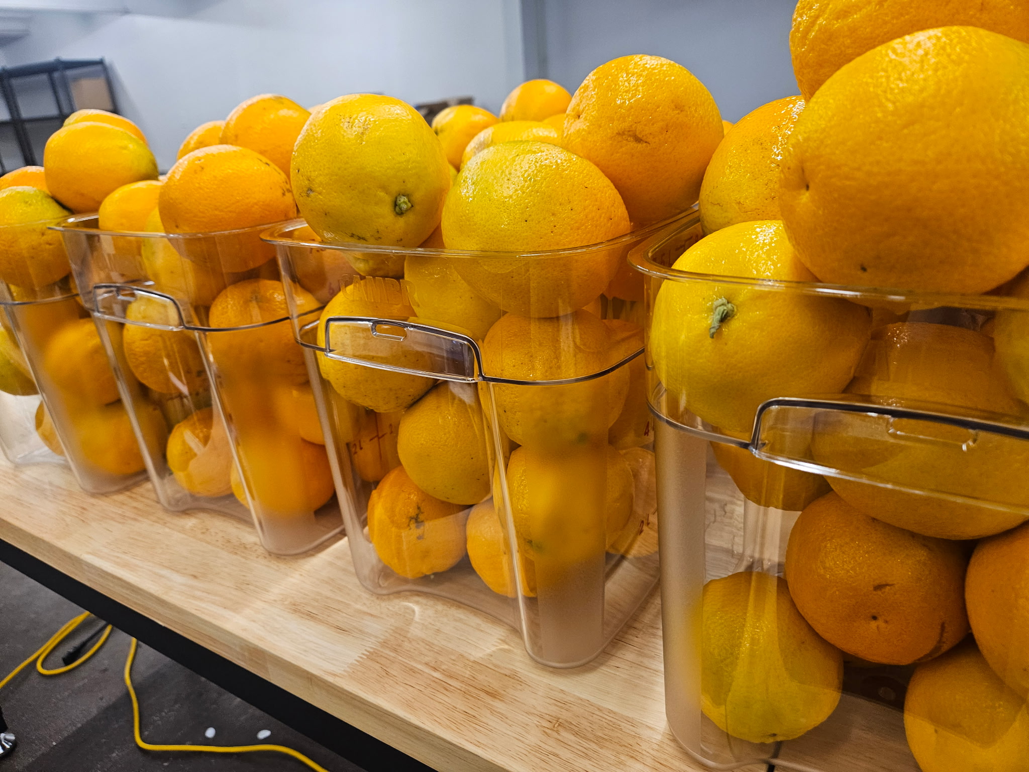 Organic Fruit for Limoncello - Goldencello